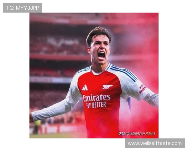 罗马诺确认!阿森纳 6500 万欧分期签苏比门迪,HWG 条款锁定中场新核(1) 罗马诺确认!阿森纳 6500 万欧分期签苏比门迪,HWG 条款锁定中场新核(1)